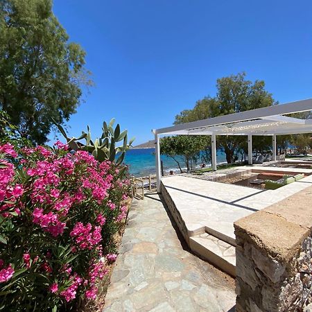 Villa Aristoteles Chalki Town Екстер'єр фото
